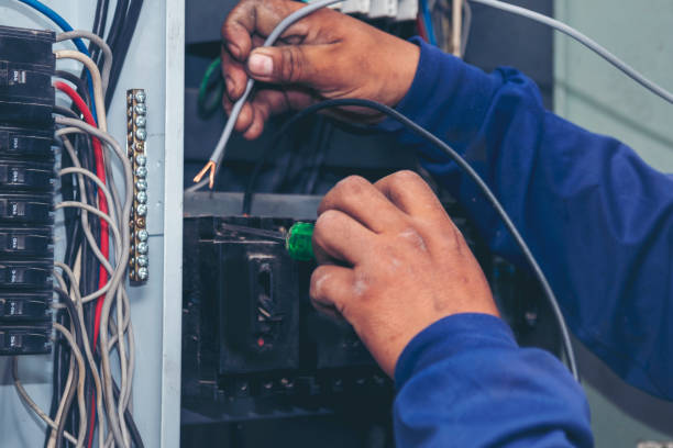 Best Ceiling Fan Installation Electrician  in Parlier, CA